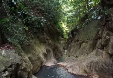 Excursión Senderismo Pointe-Noire - Canyon Rivière Grand Plaine - Photo