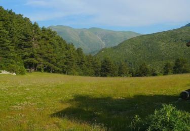 Tour Zu Fuß Pierlas - Tour du Mont de Lieuche - Photo