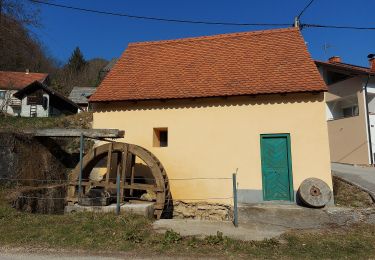 Trail On foot Samobor - Samobor - Veliki dol - Photo