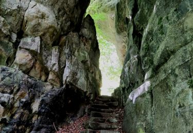 Tocht Stappen Consdorf - Superbe promenade vers le Kuelscheier   - Photo