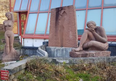 Tour Wandern Bad Niederbronn - Grand Wintersberg & plan d'eau Wolfartshoffen - Photo