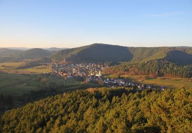 Tour Zu Fuß Schindhard - Wald-Erlebnisweg - Photo