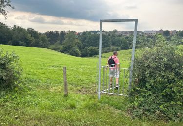 Percorso Marcia Theux - Jehanster 25,2 km - Photo