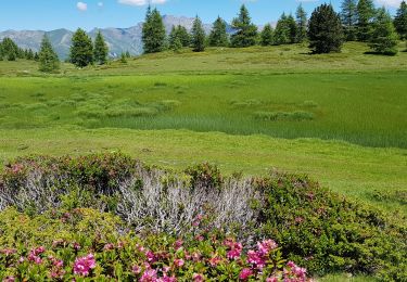 Randonnée Marche Seyne - 04 - près de Seyne-les-Alpes - le col bas et les 3 lacs - Photo