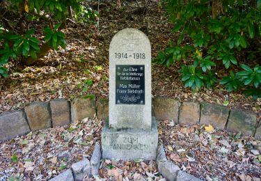 Tour Zu Fuß Kirchberg - Wanderweg Kirchberg Gelb - Photo