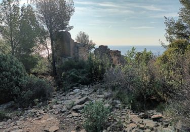 Trail Walking La Ciotat - Sémaphore bec de l'Aigle, la Ciotat, 04-10-23  - Photo