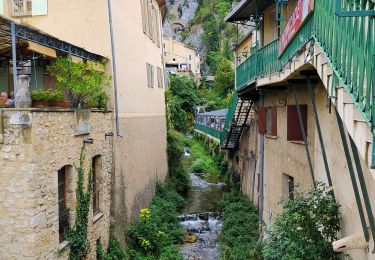 Tocht Stappen Moustiers-Sainte-Marie - Moustiers SainteCroix - Photo