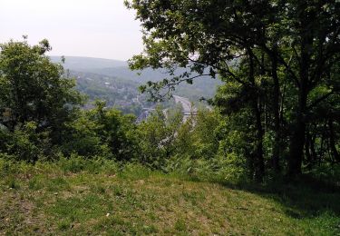 Tour Wandern Lüttich - SART TILMAN Landes de Streupas - Photo