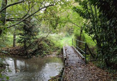 Trail Walking Saint-Cyr-sur-Loire - Saint-Cyr-sur-Loire la Gagnerie - la Membrolle-sur-Choisille Mettray - 24km 405m 5h15 (50mn) - 2024 10 20 - Photo