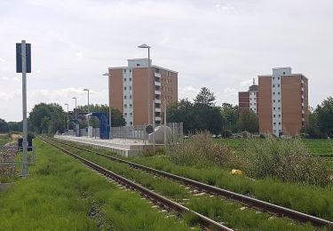 Tocht Te voet Jülich - Jülich Rundweg J2 - Photo