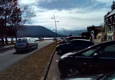 Tocht Stappen Chambon-sur-Lac - Tour du lac Chambon - Photo