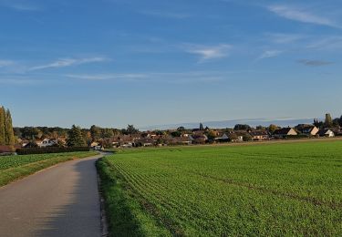 Randonnée Marche Villiers-le-Mahieu - Villiers le Mahieu - Photo