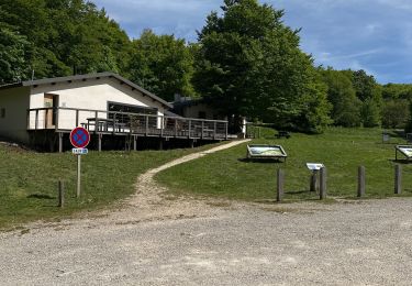 Trail sport Omblèze - Plateau d’Ambel - Photo