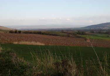 Randonnée Marche Boudes - la vallée des saints  - Photo