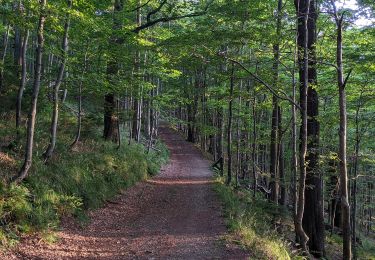 Tour Zu Fuß Košařiska - NS Po stopách salašnictví - Photo