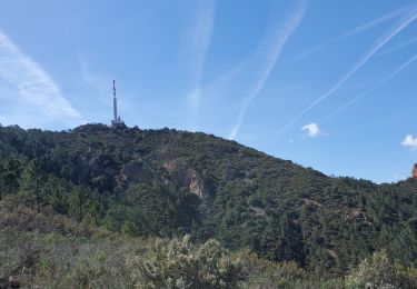 Trail Walking Saint-Raphaël - ESTEREL trace Pic de l,Ours  - Photo
