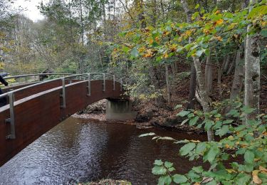 Tour Wandern Marche-en-Famenne - Hargimont  - Photo