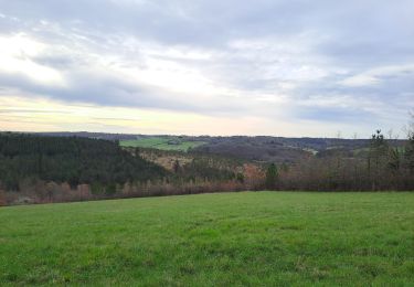 Trail Walking Saint-Pierre-de-Chignac - boucle chai lamardie - Photo