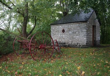 Tour Zu Fuß Gussignies - Balade le long de la Grande Honnelle - Photo