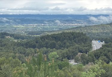 Randonnée Marche Venelles -  Venelles collet Redon - Photo