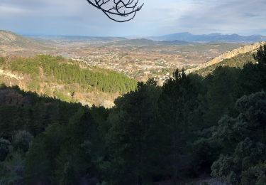 Trail Walking Malaucène - MALAUCENE  - Photo