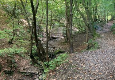 Randonnée Marche Chaudfontaine - Chaufontaine  - Photo