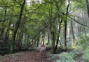 Trail Walking Aubange - Bois d’Halanzy - Photo