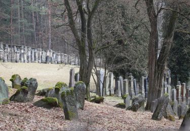 Tocht Te voet Burgkunstadt - Räuberpfad - Photo