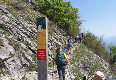 Excursión Senderismo Le Gua - col vert - Photo