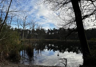Trail Walking Beringen - vallei-van-de-zwarte-beek-koersels-kapelleke-startplaats-de-watersnip-groen - Photo