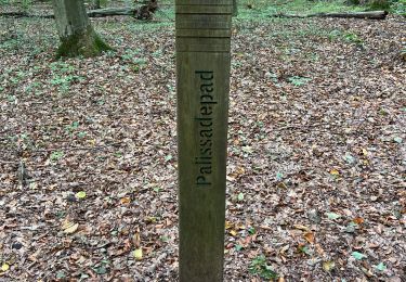 Excursión sport Hoeilaart - Forêt de Soignes  - Photo