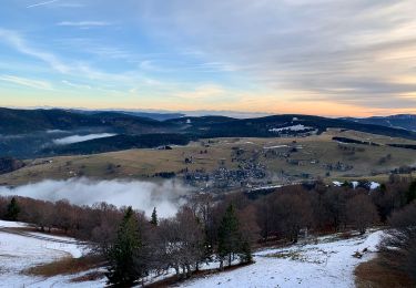 Tour Zu Fuß  - Laufstrecke Schauinsland Berglauf - Photo