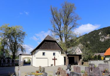 Percorso A piedi St. Stefan ob Leoben - Kammern - Weiglmoar - Photo