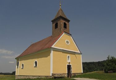 Percorso A piedi Gemeinde Weitra - Robert-Hamerling-Weg 624 - Photo