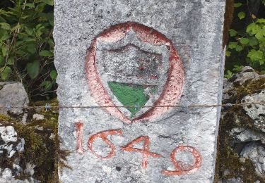 Tour Wandern Rochejean - Mont d'or - Photo