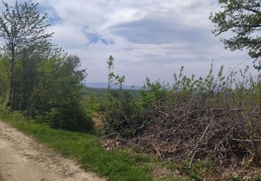 Tocht Stappen Artas - rando du 9 mai 2021 - Photo