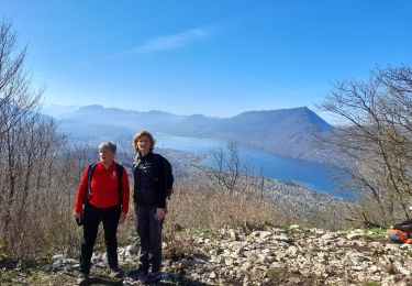 Trail Walking Brison-Saint-Innocent - MONT DE CORSUET: BRISON ST INNOCENT - MEYRIEU - SOUS LA CHAMBOTTE - Photo