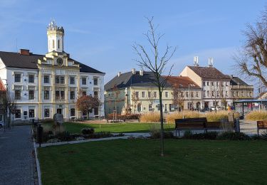 Tour Zu Fuß Zernow - naučná stezka Babiččino údolí - Photo