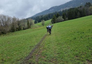 Trail Walking Chapelle-des-Bois - Chapelle-des-Bois  - Photo