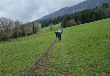 Randonnée Marche Chapelle-des-Bois - Chapelle-des-Bois  - Photo