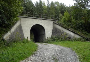 Tour Zu Fuß Gemeinde Gloggnitz - Gloggnitz - Eichberg - Klamm (Kochhof) - Photo