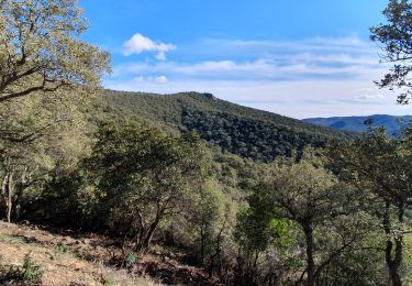 Randonnée Marche Pierrefeu-du-Var - pierrefeu le maucouar sommet - Photo