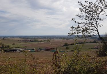 Trail Mountain bike Saint-Clément - sortie vtt du 06102018 Haut de la Coye - Photo