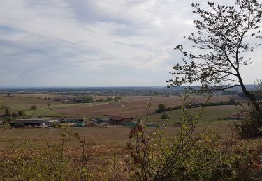 Excursión Bici de montaña Saint-Clément - sortie vtt du 06102018 Haut de la Coye - Photo