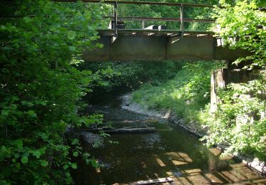 Percorso A piedi Striegistal - Rundwanderweg Otterberg-Aussicht - Photo