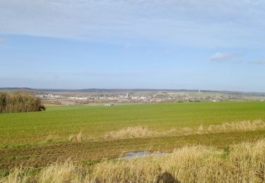 Tocht Stappen Villeneuve-sur-Fère - Villeneuve-sur-Fère du 17-02-2022 - Photo