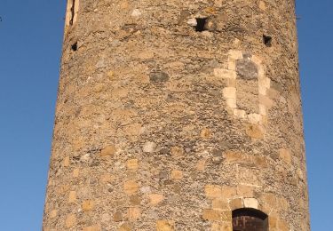 Excursión Senderismo Tarascon-sur-Ariège - foire de la St Michel tarascon sur Ariège  - Photo