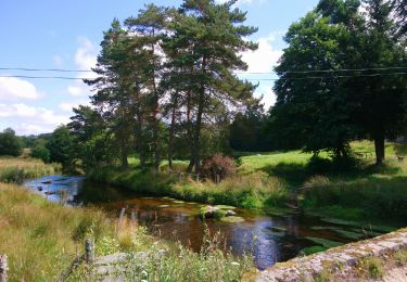 Tocht Stappen Peyrelevade - Peyrelevade, camping 🏕  - Photo