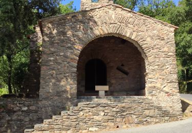 Randonnée Marche La Garde-Freinet - La Garde-Freinet - Peygros - Photo