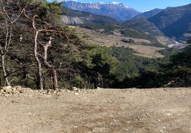 Excursión Senderismo Pontaix - Pontaix ste Croix randoN1 - Photo